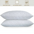 2 Pack Quilted Bed Pillows White Goose Down Feather Standard